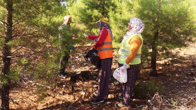 ORMAN ZARARLILARINA KARŞI MÜCADELE SÜRÜYOR