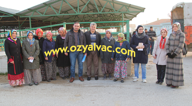 Yalvaç’ta 24 Genç Çiftçiye 144 Büyükbaş Hayvan Dağıtıldı