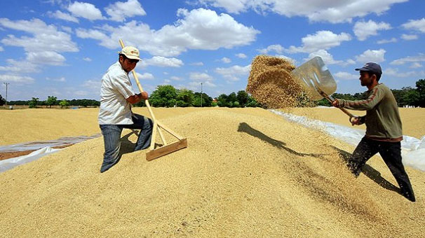 Yalvaç TSO’dan Akşehir TMO’nun hububat alımı için bilgilendirme