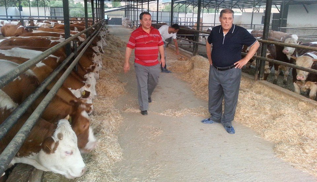 Bölgenin hastalıktan ari ilk ve tek işletmesi: DURUTÜRK TARIM ve HAYVANCILIK