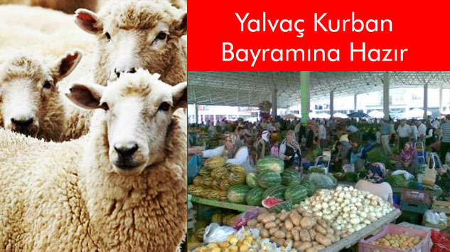 Son yılların en kalabalık Kurban Bayramı’nı  yaşayacağız