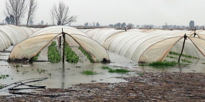 TARSiM UYARDI: SERA SiGORTASI YAPTIRMANIN TAM ZAMANI