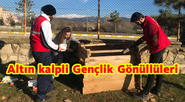 Gençlik Merkezi’nin Altın Kalpli Gönüllüleri