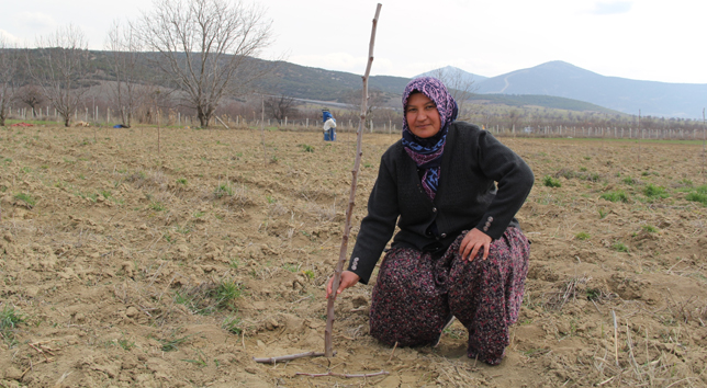 Hünnap Projesi Kapsamında Örnek Bahçe Kuruldu