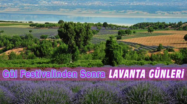 Isparta “Lavanta Günleri”ne Hazırlanıyor