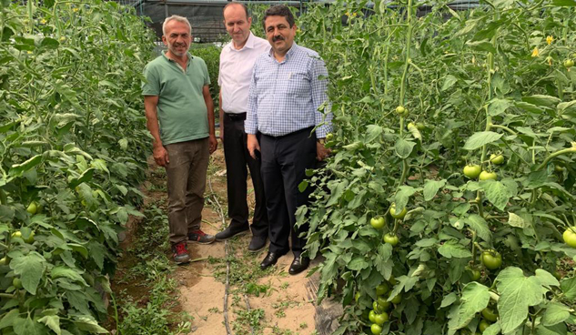 Isparta’da  Yayla Şartlarında Örtüaltı Yetiştiriciliği Artıyor