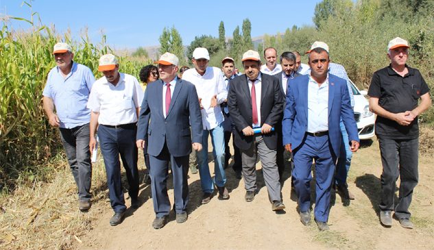 Sücüllü’de Silajlık Mısır Tarla Günü düzenlendi