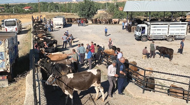 Korona Virüs, Hayvan Pazarlarını da Kapattırdı