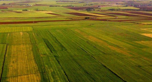 Gelendost-Afşar’da 1.710 m2 tarım arazisi üzerindeki muhtesatlarla satılık