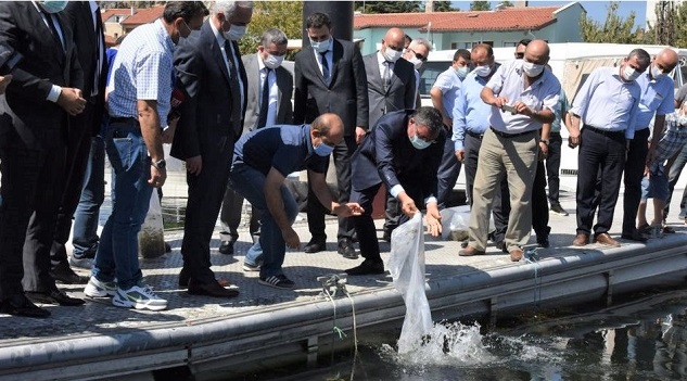 Eğirdir Gölüne 562 Bin Sazan Balığı Bırakıldı