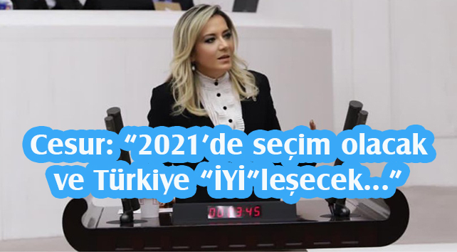 CESUR’UN 2020 DEĞERLENDİRMESİ VE 2021 YILBAŞI MESAJI