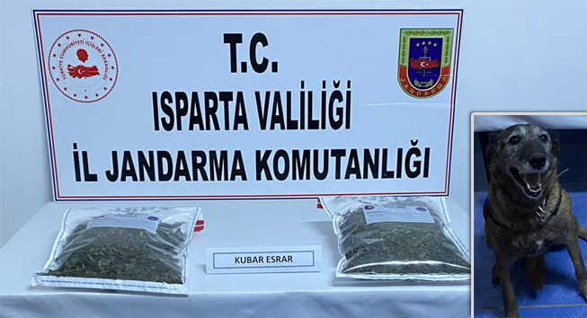 Jandarma’dan Bağkonak’ta Uyuşturucu Operasyonu