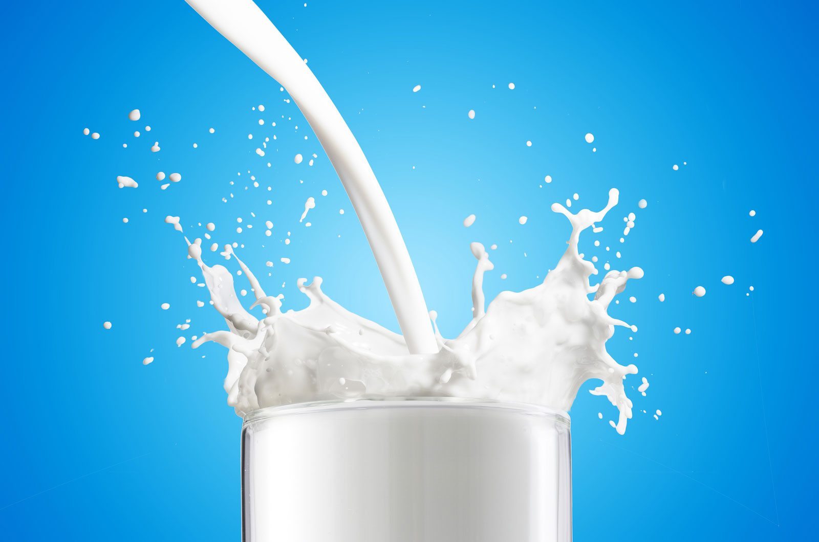Süt üreticileri bakanlığın kararına isyan etti