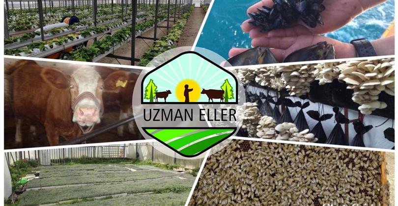 Uzman Eller Projesinde Hibe Sözleşmeleri İmzalandı