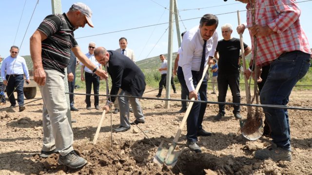 ISUBÜ’de 4 Bin Elma Fidanı Toprakla Buluşturuldu