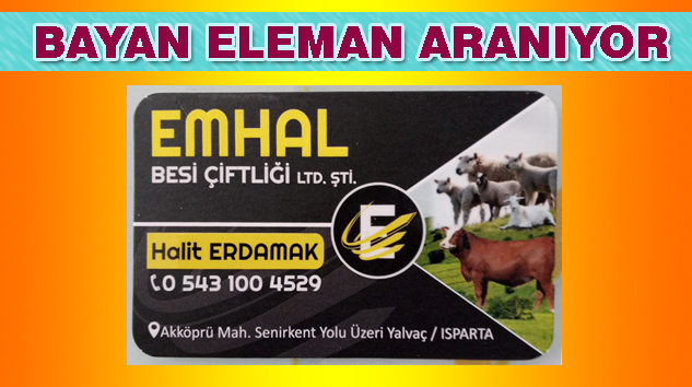 BAYAN ELEMAN ARANIYOR