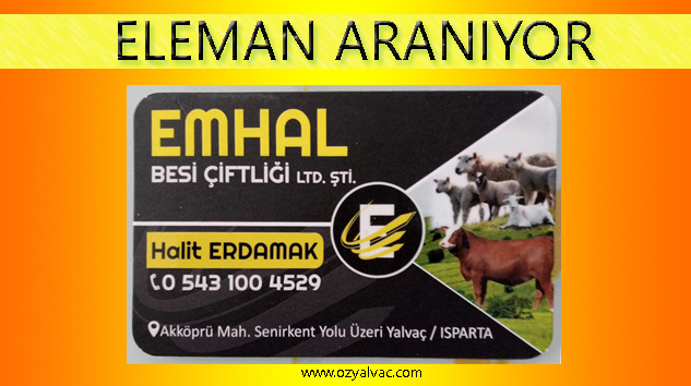 ELEMAN ARANIYOR