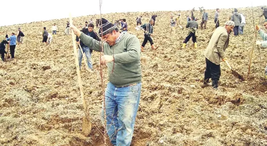 Yalvaç’taki bazı ağaçlandırma alanları Orman’a devrediliyor