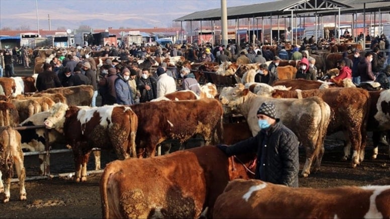 Türkiye genelinde tüm hayvan pazarları kapatıldı