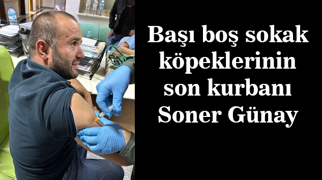 Sokak köpekleri Muhtar Günay’ı da hastanelik etti