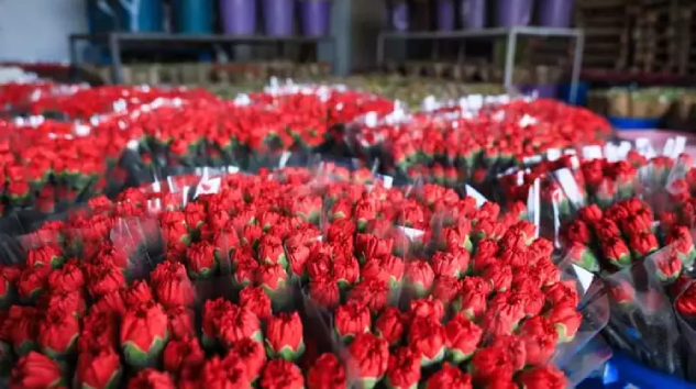 Çiçekte 10 Aylık İhracat Rekoru