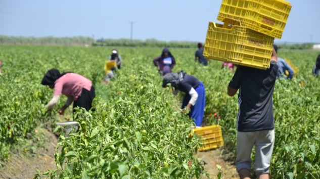 Tarım işçileri için yaşam alanı iyileştirildi