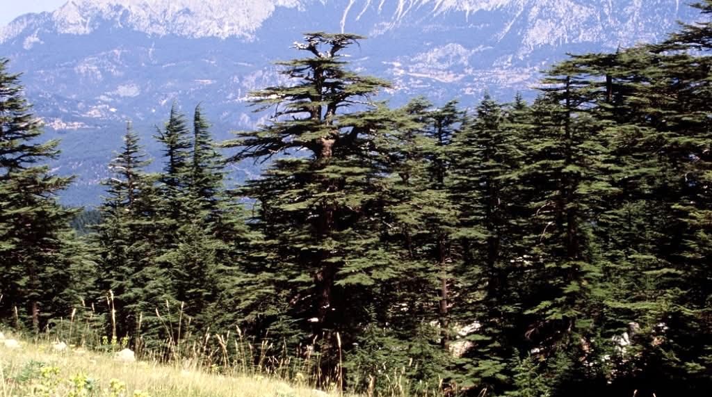 Yusuf Yavuz yazdı: Korkmayın, bu da geçer…