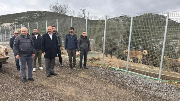 Vali Erin, sahipsiz hayvanlar merkezine gitti