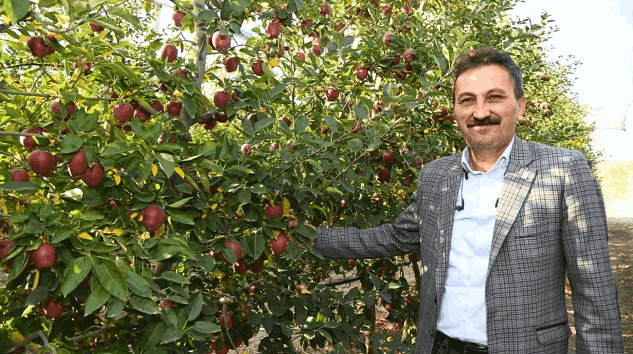 Isparta Elması Hakkındaki İddialara ITB’den Yanıt