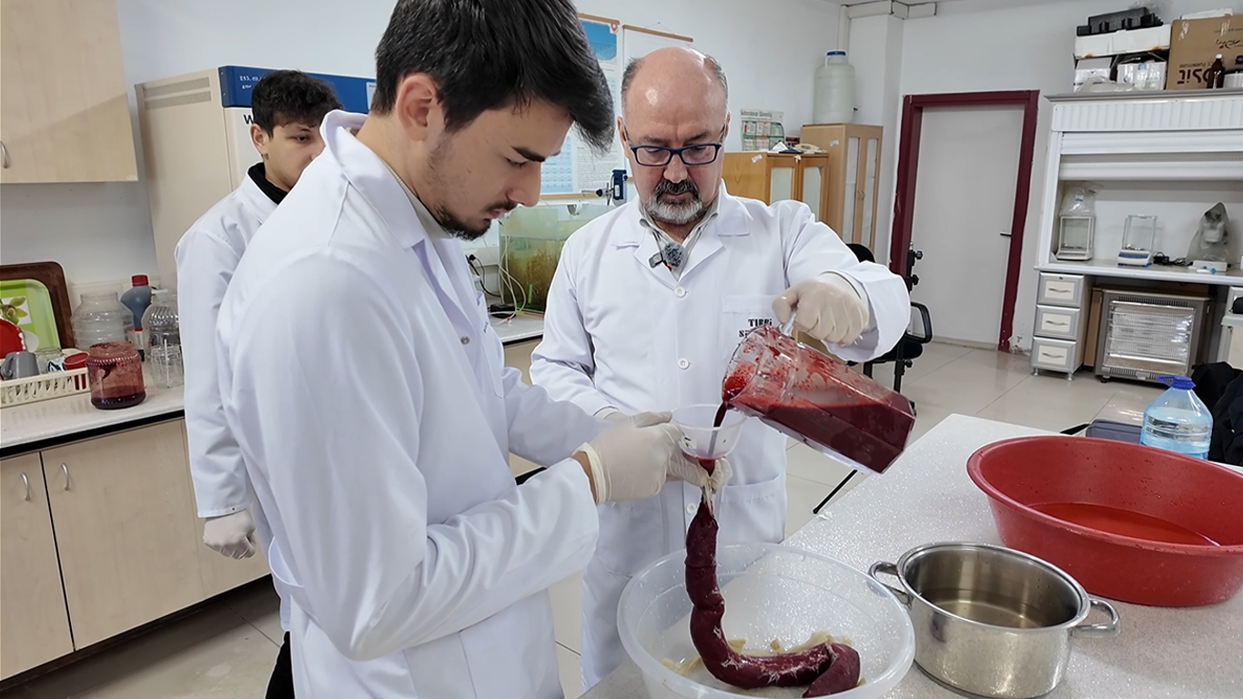 TÜBİTAK Destekli Projede Keçi Kanı Sülük Yetiştiriciliğinde En Üstün Büyümeyi Sağladı