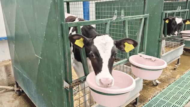 Köye Dönüş İçin Maaşlı Çiftçilik Modeli: Hedef 40 Bin Genç, 40 Bin Çiftlik