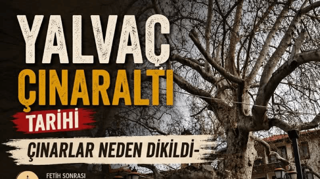 Bekir Manav Yazdı: YALVAÇ ÇINARLARI