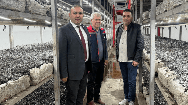 Isparta’da Dev Mantar Tesisi Yükseliyor