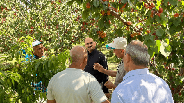 Yalvaç Kaymakamı Bekir Abacı Kayısı Üreticilerini Ziyaret Etti