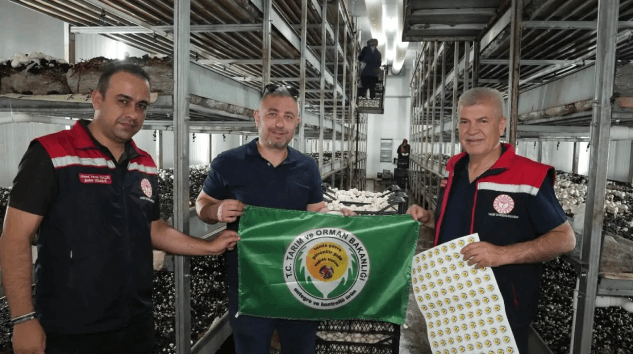 Isparta’da Mantar Üretiminde Yeni Dönem Başladı
