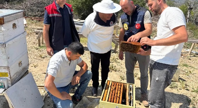 Arıcılara 3 yılda 1900 kovan dağıtıldı
