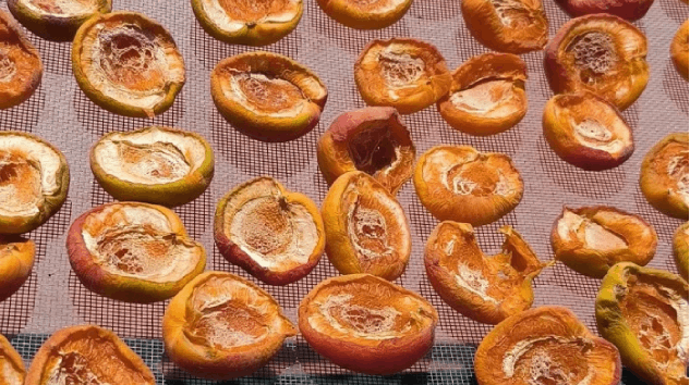“Lekeli” Diye Almadılar, O Değere Dönüştürdü