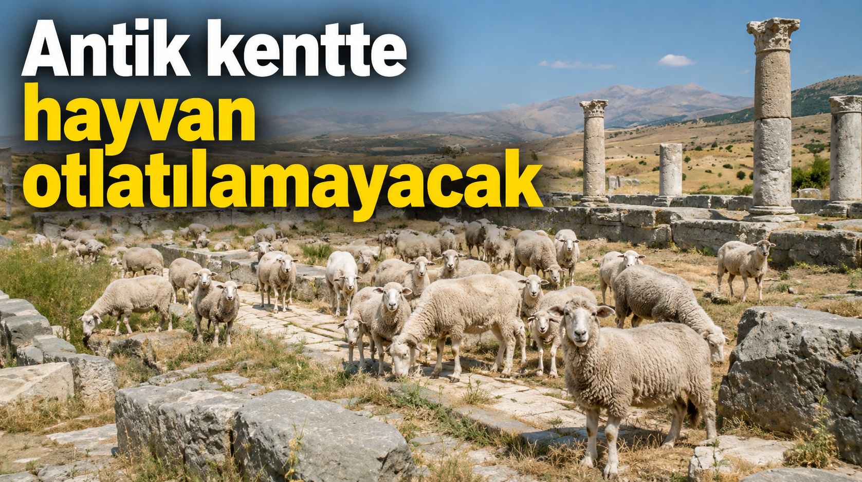 Antiokheia’da hayvan otlatmak yasaklandı