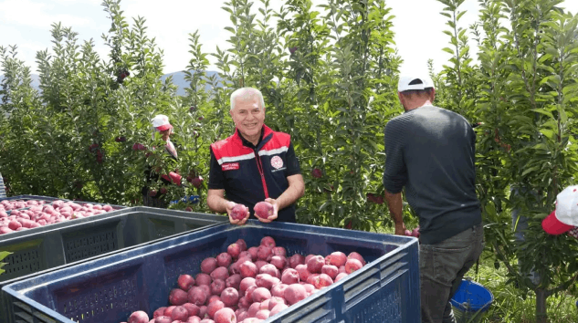 Isparta’da elma hasadı başladı