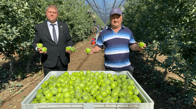 Isparta’da elma hasadı başladı